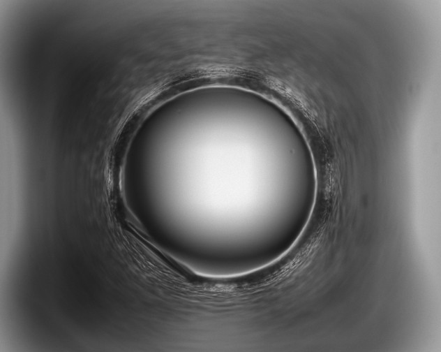 X0000097861261200803211247