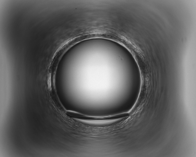 X0000097861262200803211247