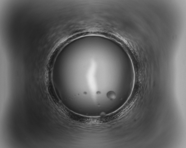 X0000097861263200803211247