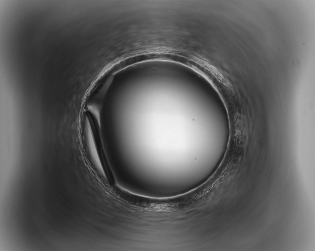 X0000097861264200803211247