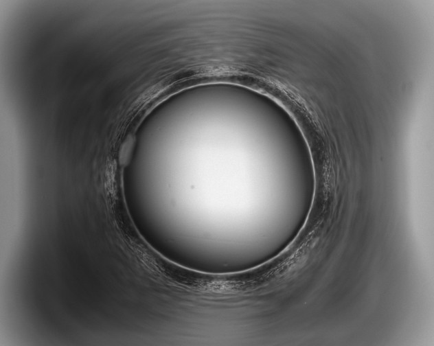 X0000097861265200803211247