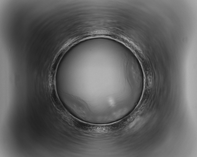 X0000097861266200803211247