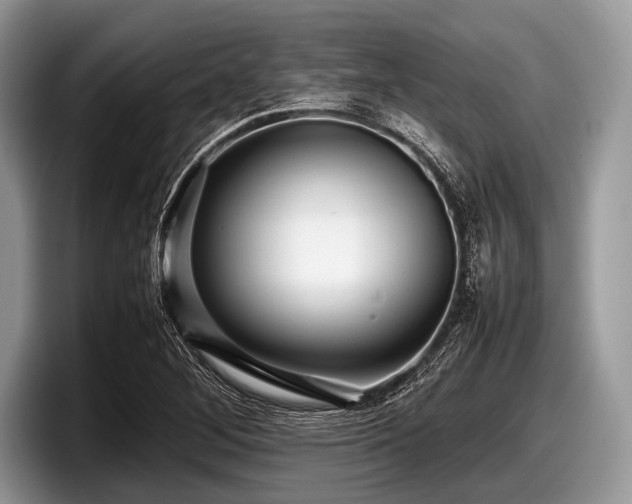 X0000097861268200803211247