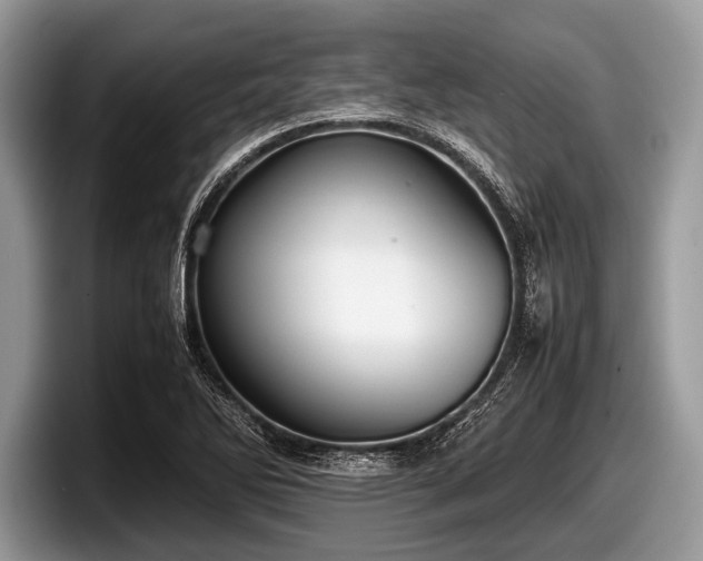 X0000097861270200803211247