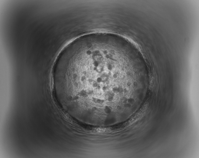 X0000097861271200803211247