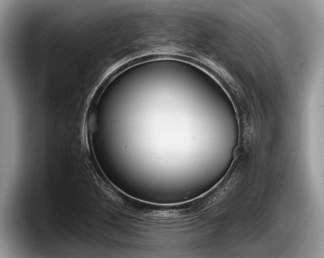 X0000097861272200803211247