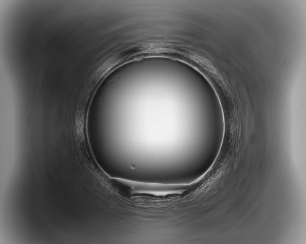 X0000097861273200803211247