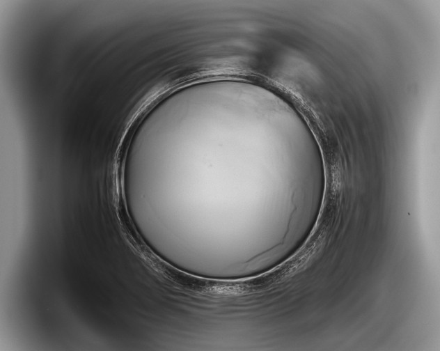 X0000097861274200803211247