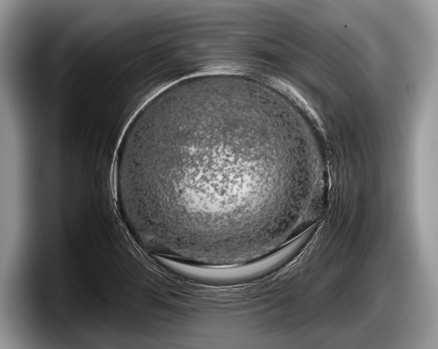 X0000097861276200803211247