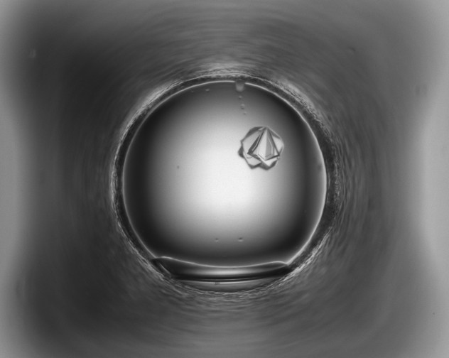 X0000097861277200803211247