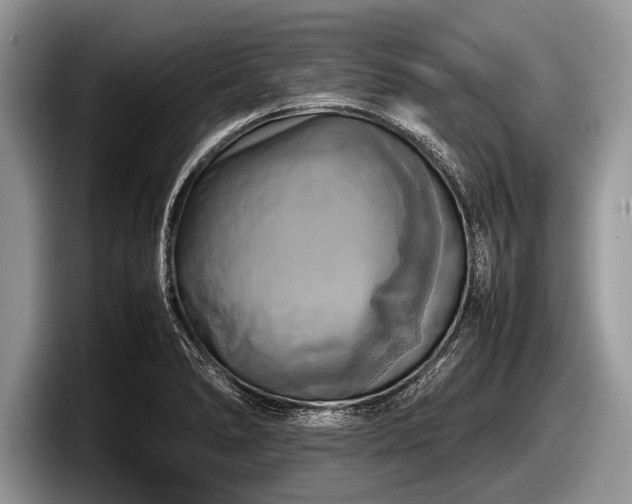 X0000097861278200803211247