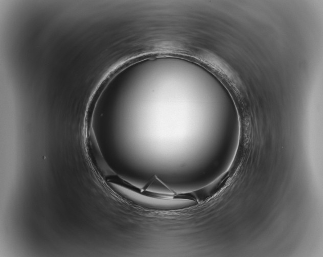 X0000097861280200803211247