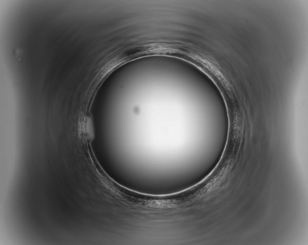 X0000097861281200803211247