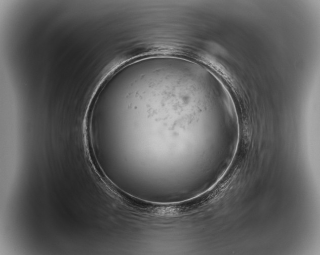 X0000097861283200803211247