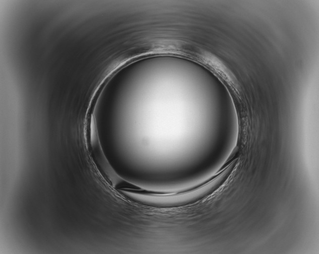 X0000097861284200803211247