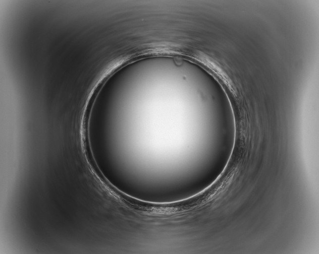 X0000097861285200803211247