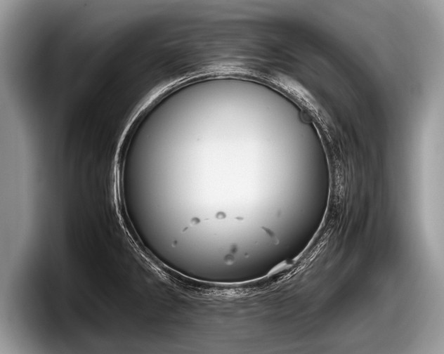 X0000097861286200803211247