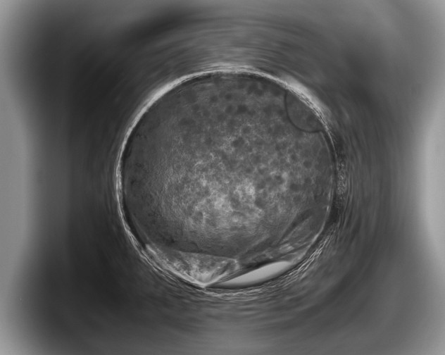 X0000097861287200803211247