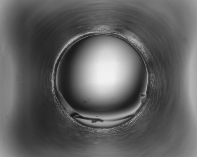 X0000097861288200803211247