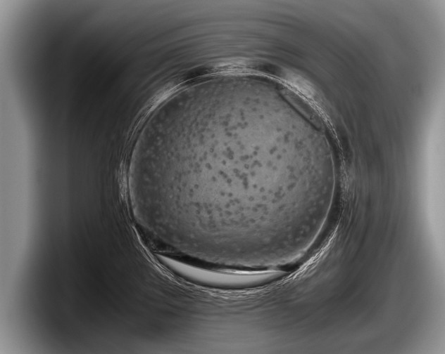 X0000097861289200803211247