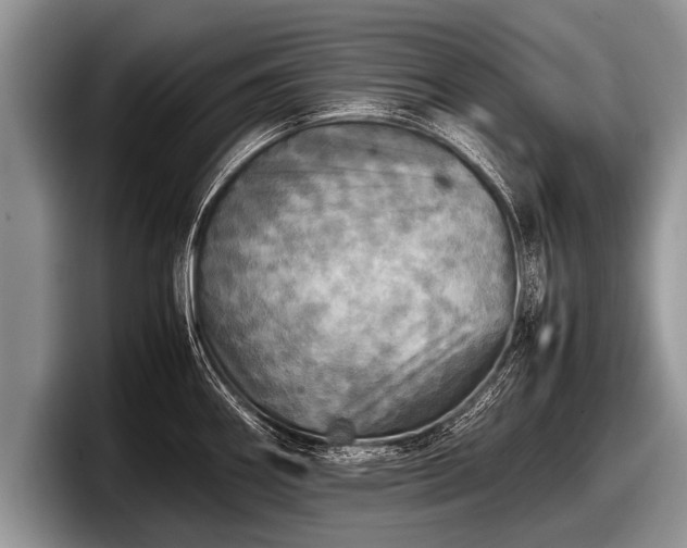 X0000097861290200803211247