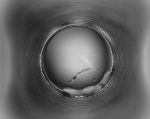 X0000097861291200803211247