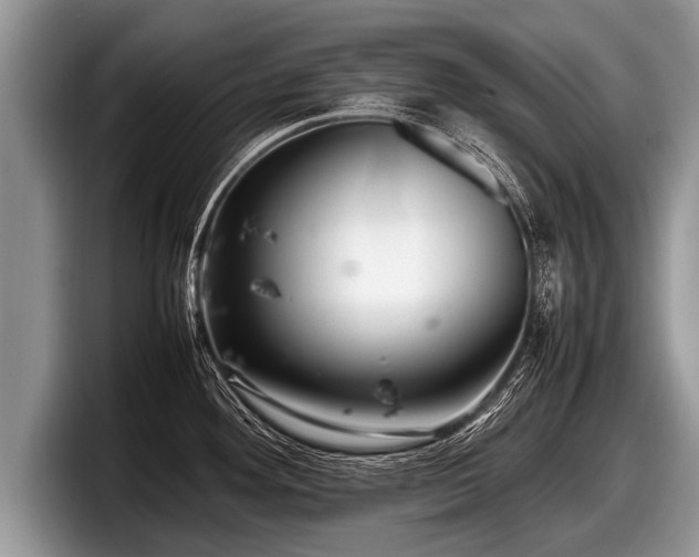 X0000097861292200803211247