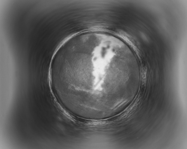 X0000097861294200803211247