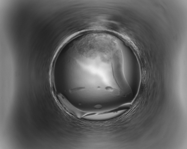 X0000097861295200803211247