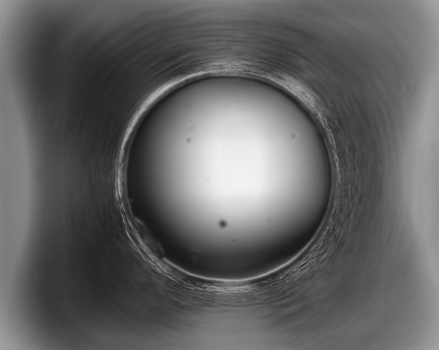 X0000097861296200803211247