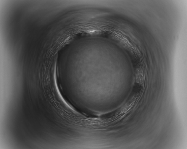 X0000097861298200803211246