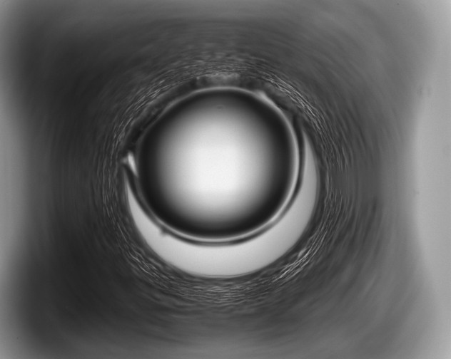 X0000097861299200803211246