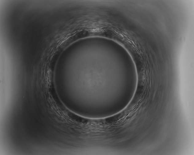 X0000097861301200803211246