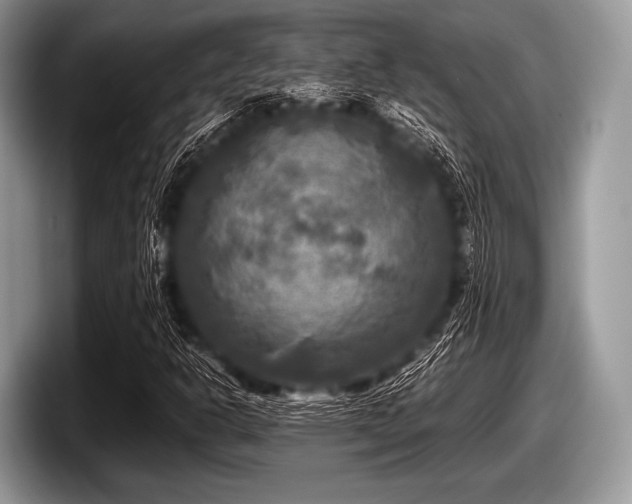 X0000097861302200803211246