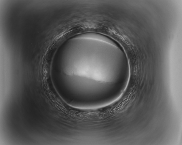 X0000097861303200803211246