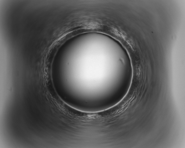 X0000097861304200803211246