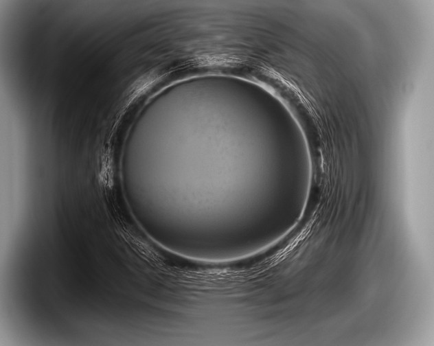 X0000097861306200803211246