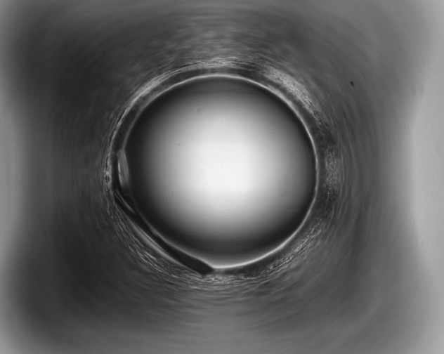 X0000097861308200803211246