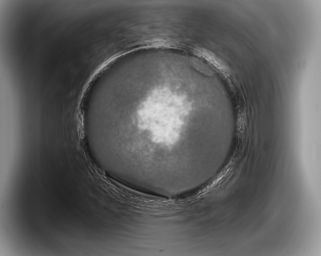 X0000097861310200803211246