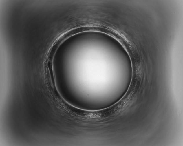 X0000097861311200803211246