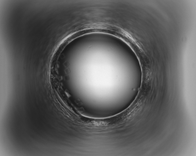 X0000097861312200803211246