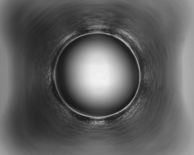 X0000097861313200803211246