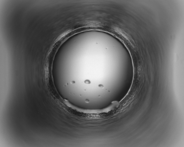 X0000097861315200803211246