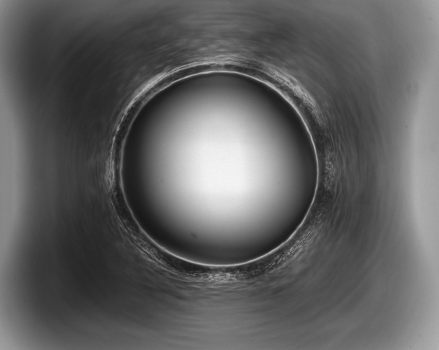 X0000097861316200803211246