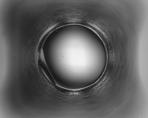 X0000097861317200803211246