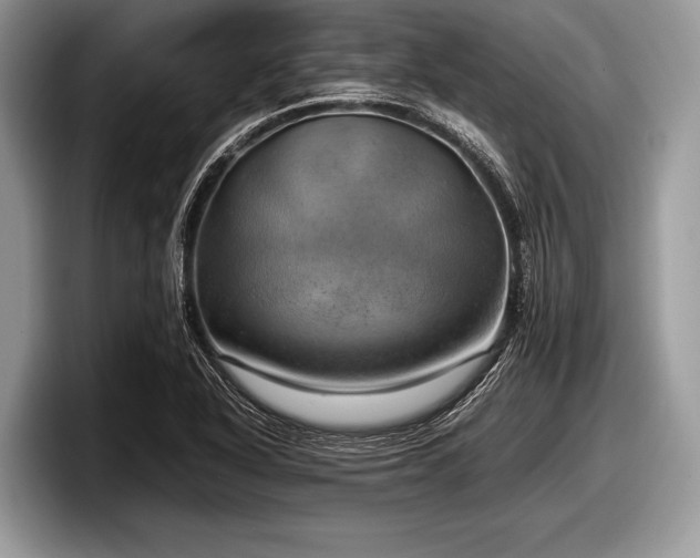 X0000097861318200803211246