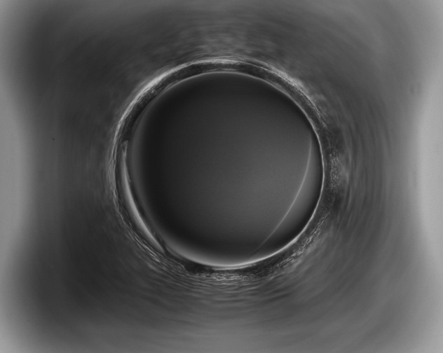 X0000097861319200803211246