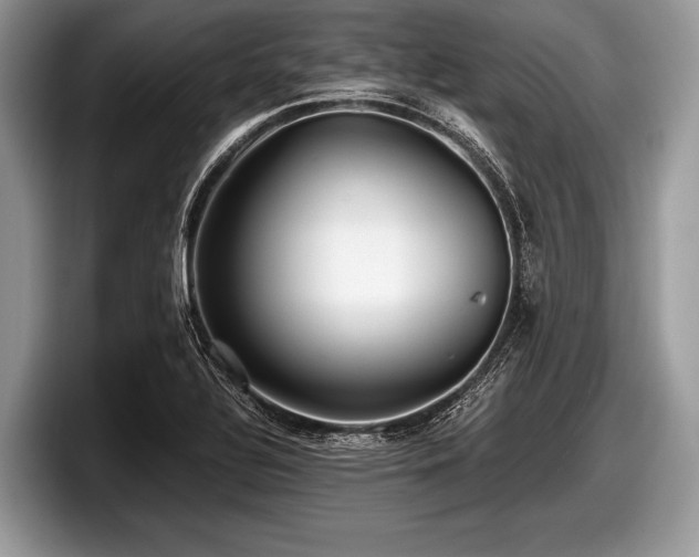 X0000097861320200803211246