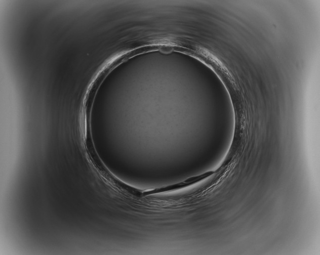 X0000097861323200803211246