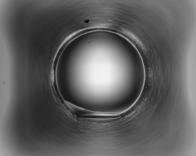 X0000097861324200803211246